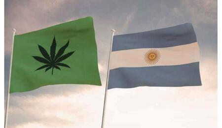 Argentina reglamenta cáñamo industrial y medicinal.