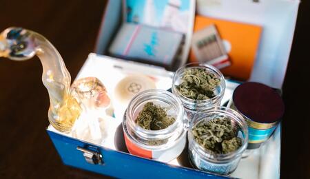 Compuestos volátiles de azufre y flavorantes dan aroma al cannabis.