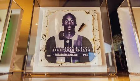 an image of the artwork titled as ‘Snoop Doggy Dogg Genesis Burn,’ one of seven multi-media art pieces sold at the recent auction, it features a mug shot from Snoop Dogg and half-finished joint he once started smoking.