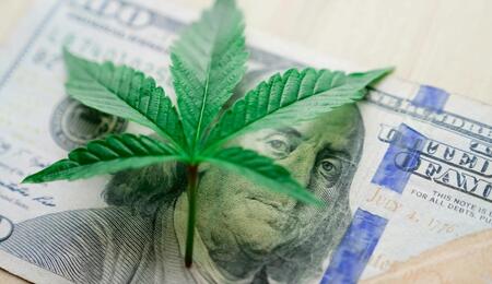 Trump no habilitó los servicios financieros para industria cannábica.