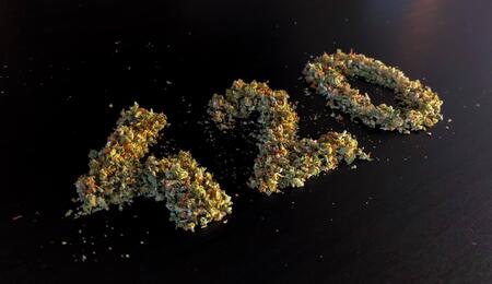 The Best Cannabis Indica Strains & Quick Tips How to Grow Them
