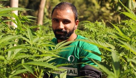 Cultivador de la Asociación y Organización de Apoio à Cultura e Capoeira de Itupeva (Osaci) en el cultivo de canabis comunitario.