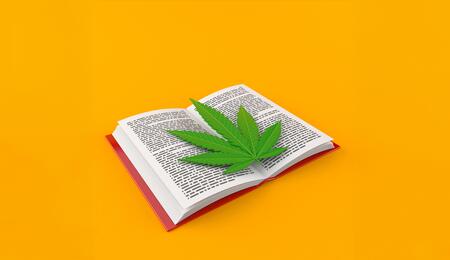 Breve storia della cannabis nella letteratura