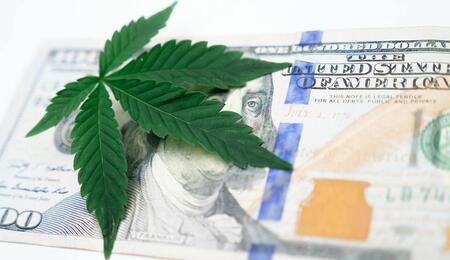 ¿Por que la caída de precio de marihuana en el mundo y América Latina?