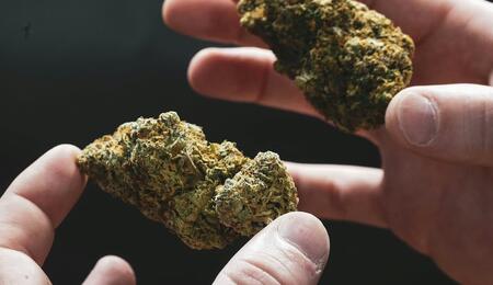 A March 2025 clinical study found vaporized cannabis (9% THC/13% CBD) improved MS symptoms like spasticity and bladder issues. We break down the findings. 