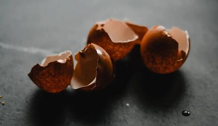 Eierschalen sind ein minerlastoffreicher Cannabis-Dünger