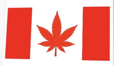 Canadian canna flag