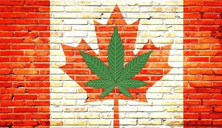 Cannabis legale in Canada: un bilancio a sei anni