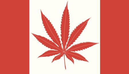 Kanada: Kanadská pojišťovna bude proplácet léčebnou marihuanu