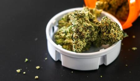 How do cannabinoids affect the body? Explore the endocannabinoid system, THC, CBD, and the latest research on pain, sleep, appetite, and inflammation.