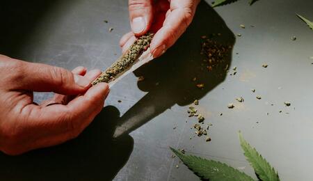El uso ocasional de marihuana como factor de protección en Canadá tras legalización.