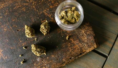 ¿Por qué interactúan y cómo cosechar terpenos y flavonoides cannábicos?