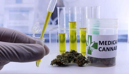 Cannabis kanker