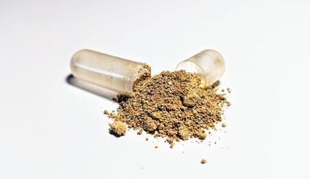 Learn more about adaptogenic herbs, how they work in the body, and how they synergize with cannabis