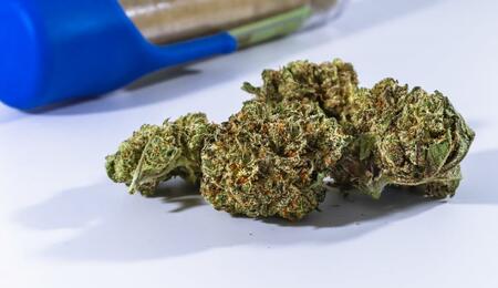 Explore the relationship between cannabis and mood. See how THC and CBD interact with the brain to support emotional balance and when to seek professional help.