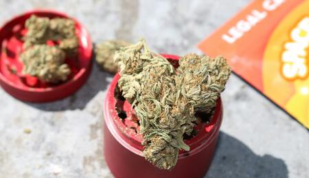 Extreme heat and THC can create a compound strain on your cardiovascular system. Here’s what happens under the hood and how to stay safe in high temps.