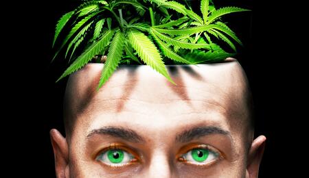 La Cannabis e lo sviluppo celebrale