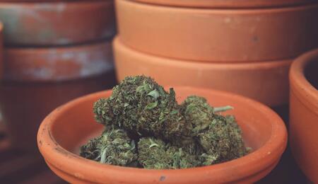 Learn what to do with cannabis harvest byproducts, from popcorn buds and sugar trim to fan leaves, kief, hash, and other uses for leftover plant material.
