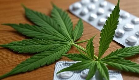 Píldoras y cannabis, simbolizando la interacción entre medicamentos y la planta.