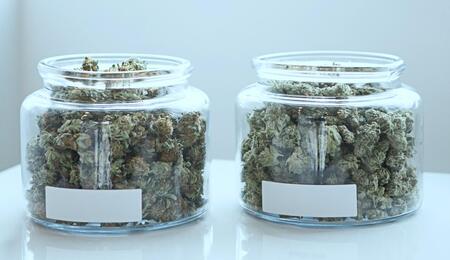 Two jars with samples of lush green cannabis. 