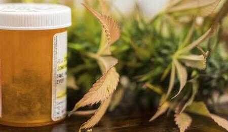 ¿Es eficaz el cannabis para tratar dolores crónicos?