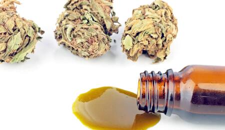 Medicinaal Cannabis Nieuws
