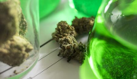 Marijuana Class I Appeal Rejected by Federal Court, Still Dangerous with No Accepted Medical Us
