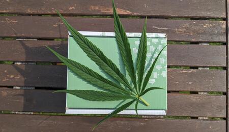 cannabis leaf alongside a green package.
