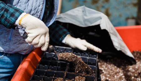 Find out more about plant propagation setup and starting a cannabis seed. This part of the process determines everything about the plant’s growth afterwards. 