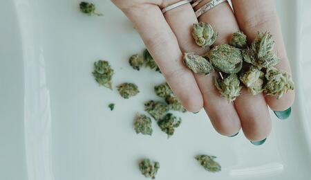 Propiedades de las cannaflavinas de la marihuana.