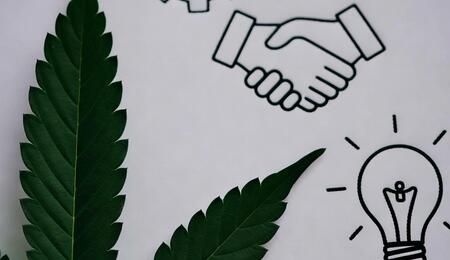 Innovación, blockchain y ecosistema industrial del cáñamo en Extremadura 2025.