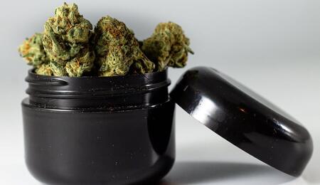 CBD y antibióticos: avance científico argentino contra superbacterias en 2026.