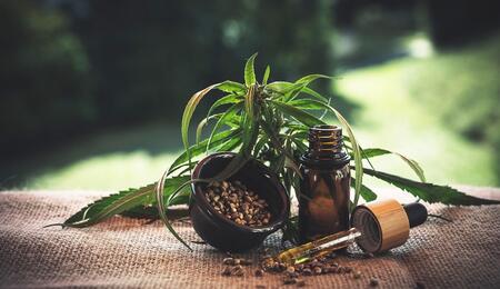 CBD in Europa: L'EFSA avvia la consultazione pubblica. Ora serve la risposta del settore