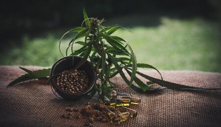 CBD for Arthritis Pain: What Seniors Should Know Before Trying It