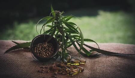 CBD-Moleküle interagieren mit dem Endocannabinoid-System, einem Netzwerk, das die Immunfunktion und das Schmerzempfinden reguliert.