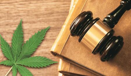 Cannabis leaf next to law documents