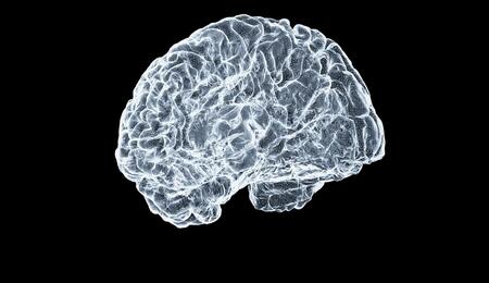 Representación visual de un cerebro iluminado simbolizando la neuroprotección y el efecto del CBD contra la inflamación.