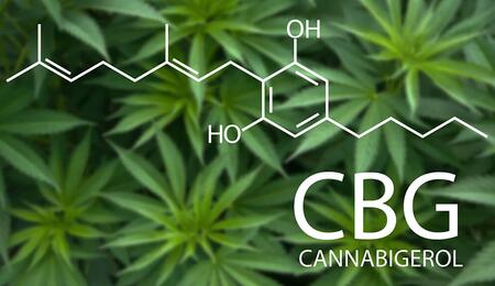 CBG Il cannabinoide madre