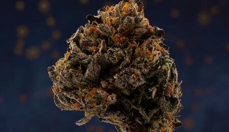 Los terpenos del cannabis