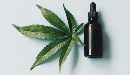 Paso a paso: ¿cómo preparar tintura de cannabis?