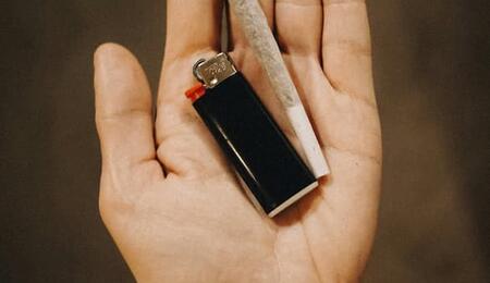 consumo de cannabis