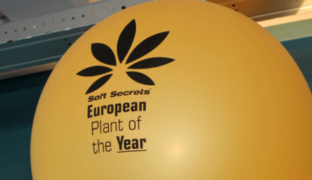 Soft Secrets’ Plant of the Year 2018