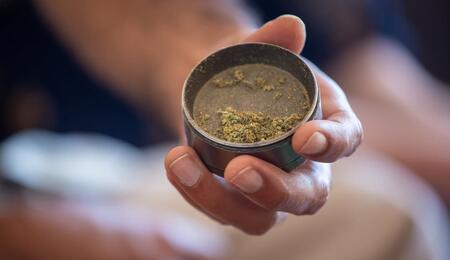 Discover how to collect kief (pollen) from cannabis — learn easy methods like freezing, screening and pressing to make your own hash and maximize potency.