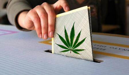Cannabis: quali Partiti sostengono la regolamentazione