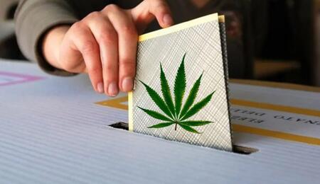 Verso le prossime elezioni: a che punto è la rete antiproibizionista per la regolamentazione?