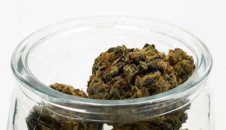 Curado de cannabis en frascos de cristal