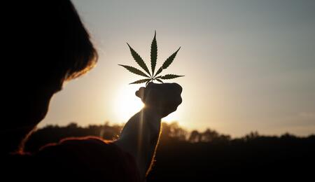 El-Congreso-rechaza-despenalizar-el-cannabis