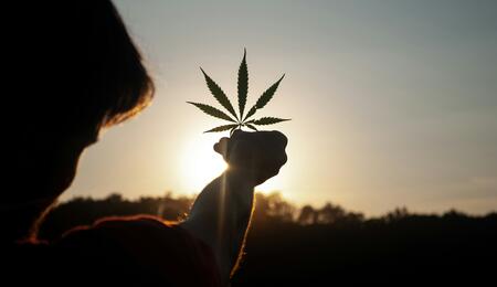 Efron is constructing a home almost entirely out of sustainable hemp