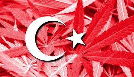 Turchia e Cannabis