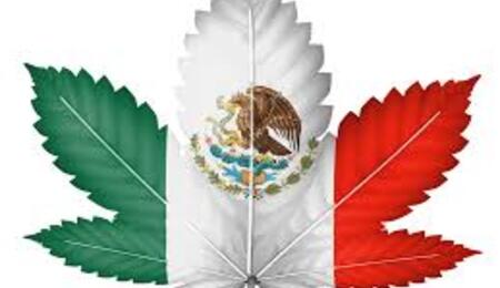 Corte de México pide regular el cannabis al Congreso